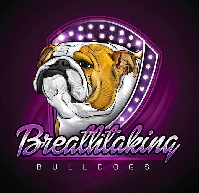 Breathtaking Bulldogs